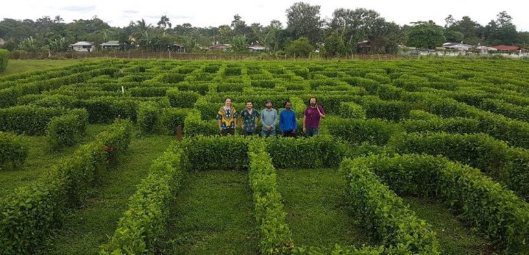 Nuevo video Psyclos junto a Monsoon